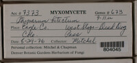 Image Associated With the Occurence
